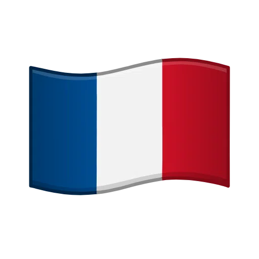 Français Flag Logo