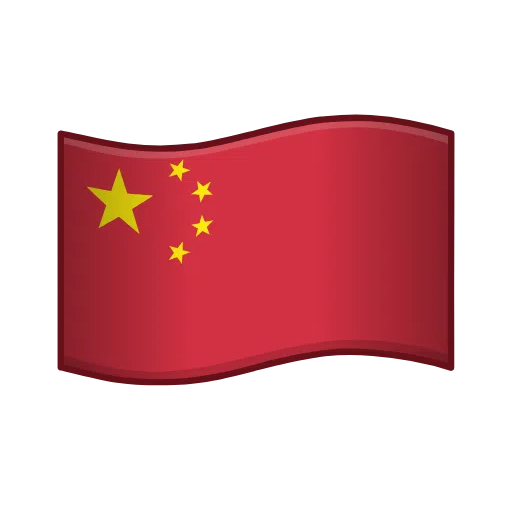 中文 Flag Logo